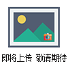 H44H-16C旋啟式止回閥
